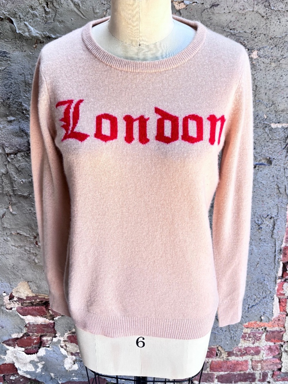 Autumn Cashmere Graphic Print Crewneck Sweater
